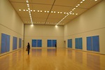 2010 SASAKI HIROKO ＜青のあいだ＞Unconscious Nature and Conscious object 青のあいだ 巡回展 兵庫県立美術館

